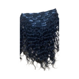 Clip-Ins Raw Vietnamese Deep Curly